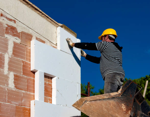Best Insulation Installation Services in Idaho Springs, CO